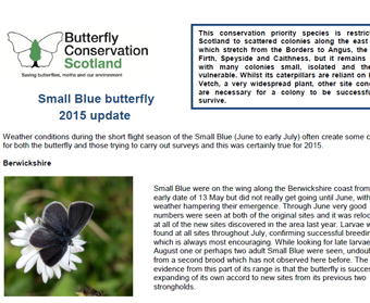 Small Blue Update 2015