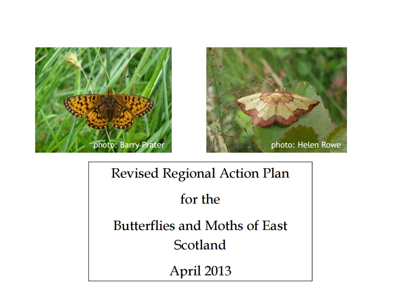 Butterfly Conservation - East of Scotland Action Plan for Butterflies and Moths