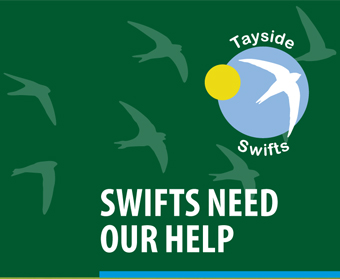 New Tayside Swifts Leaflet