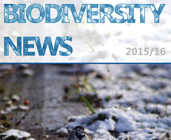 Biodiversity News 71