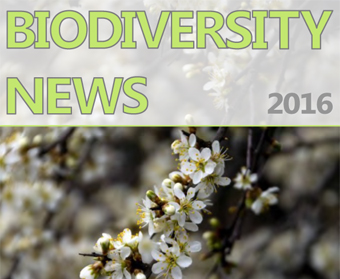 Biodiversity News 72