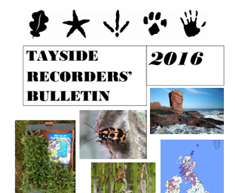 Tayside Recorders’ Bulletin 2016