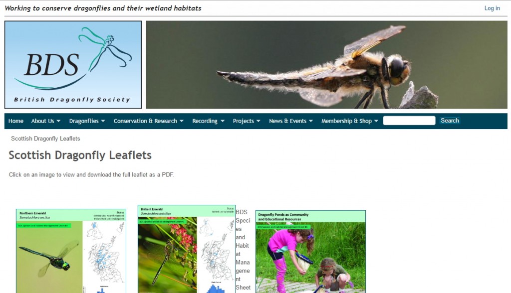 Dragonfly Leaflets & Publications
