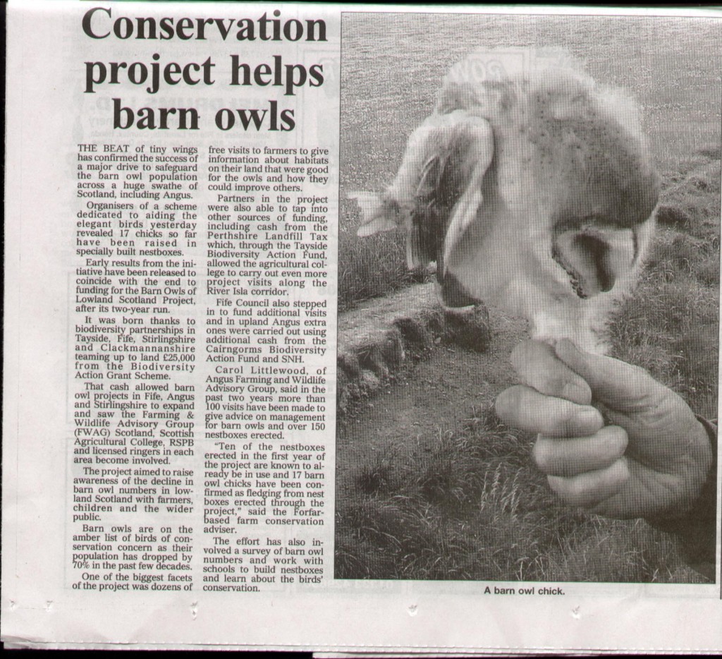 Conservation Project Helps Barn Owl