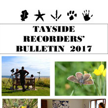 Tayside Recorders’ Bulletin 2017