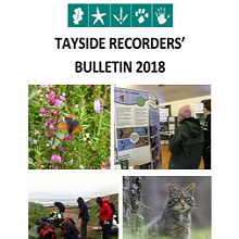 Tayside Recorders' Bulletin 2018