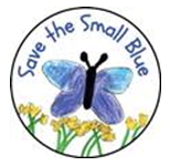 Small Blue Butterfly National Awards News