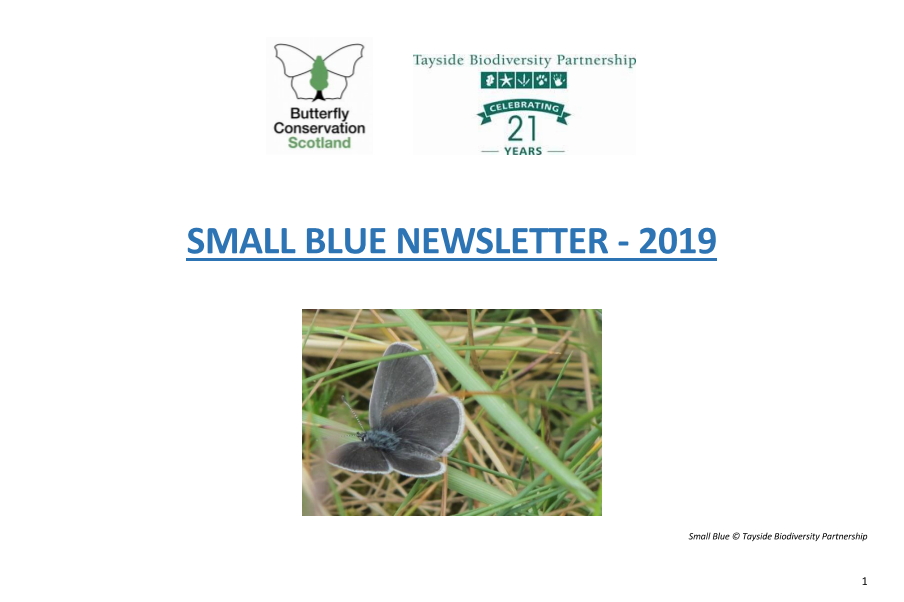 Small Blue Newsletter 2019