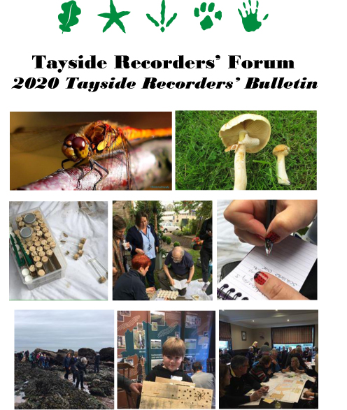 Tayside Recorders’ Bulletin 2020
