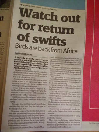 Watch Out For Return of Swifts - Courier