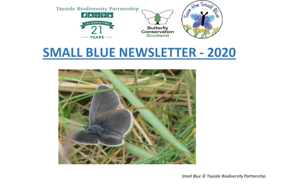 Small Blue Newsletter 2020