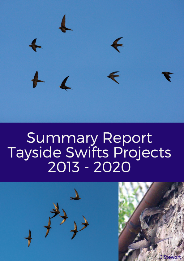 Swift Summary Report 2021