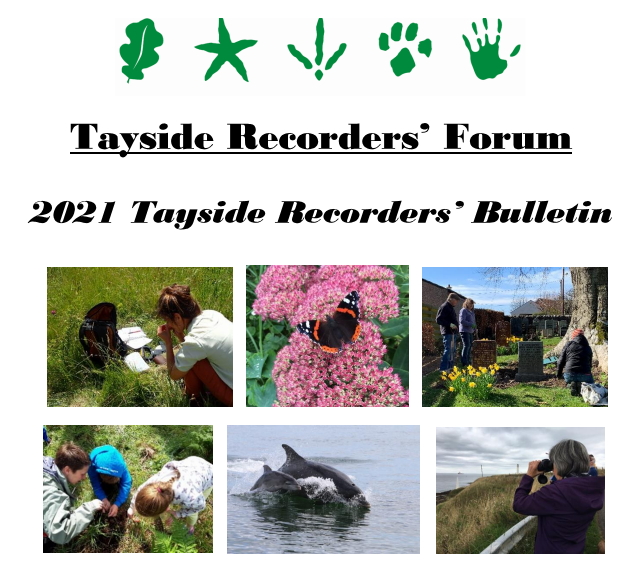 Tayside Recorders' Bulletin 2021