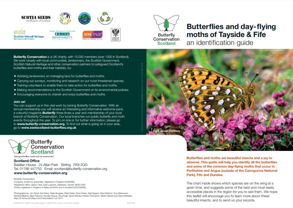 Butterflies and day-flying moths of Tayside & Fife