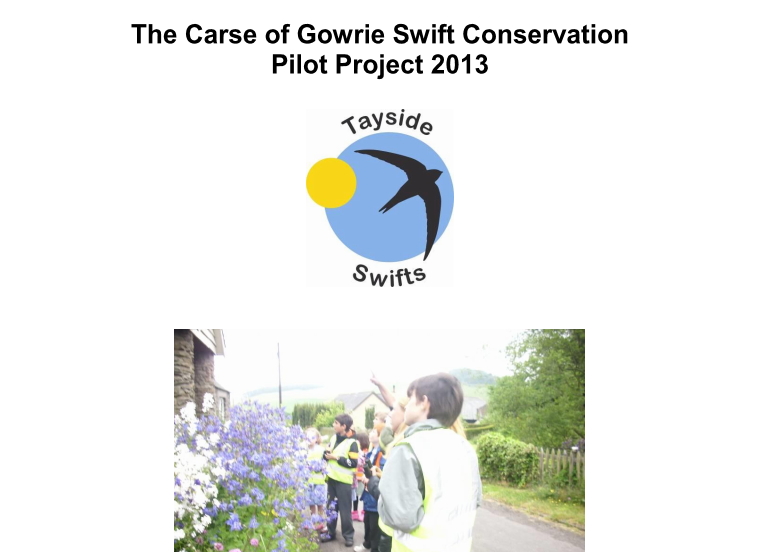 Carse of Gowrie Swift Conservation Report 2013