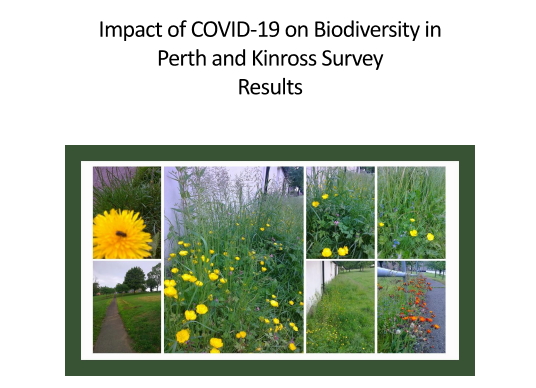 Impact of COVID-19 on Biodiversity in Perth and Kinross Survey – Results