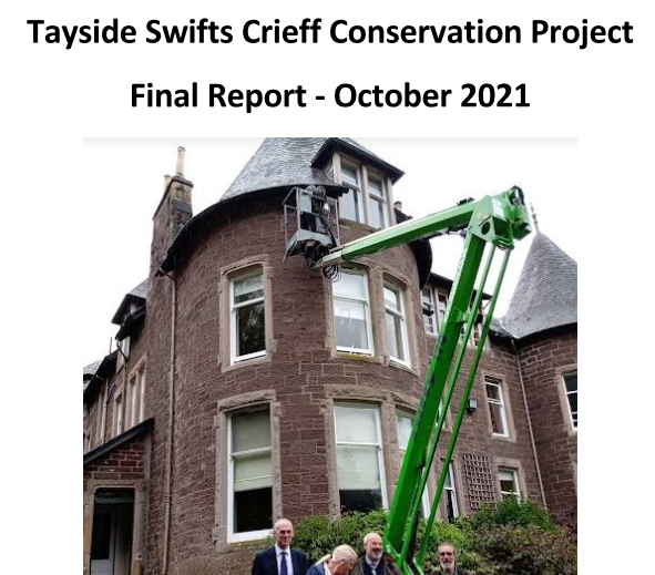 Crieff Swift Conservation Project Report 2021