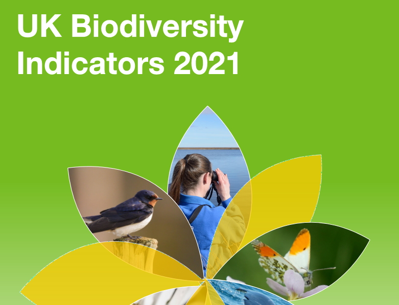 UK Biodiversity Indicators Summary Report 2021