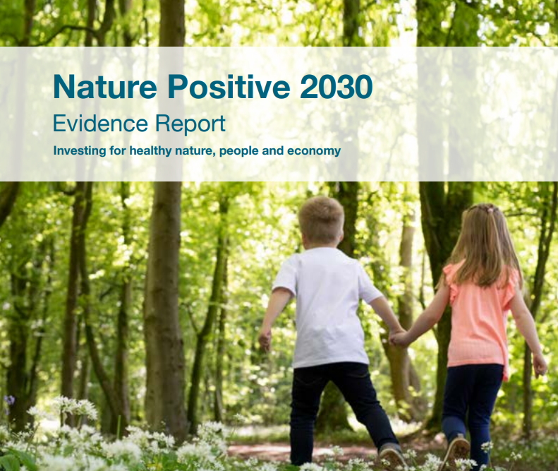 Nature Positive 2030 Evidence Report