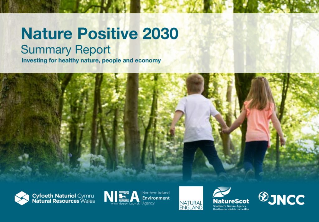 Nature Positive 2030 Summary Report