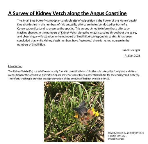 A Survey of Kidney Vetch along the Angus Coastline (2021)