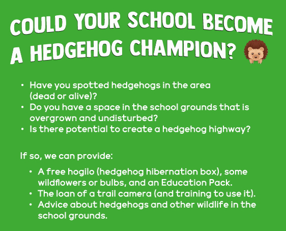 Hedgehog Information Leaflets Contents List