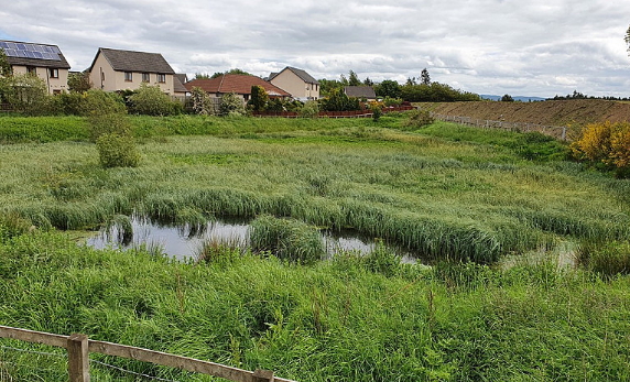 Scotland's First Biodiversity Town