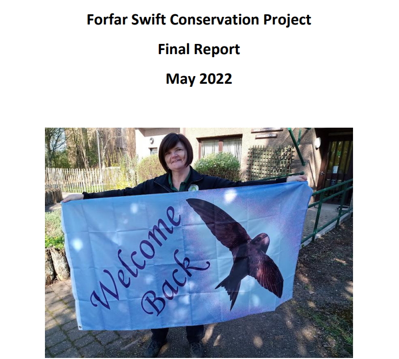 Forfar Swift Conservation Project Report