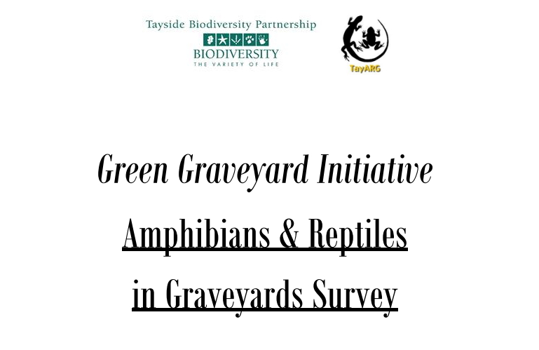 Amphibian & Reptile Graveyards Survey