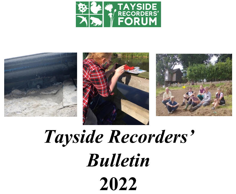 Tayside Recorders' Bulletin 2022