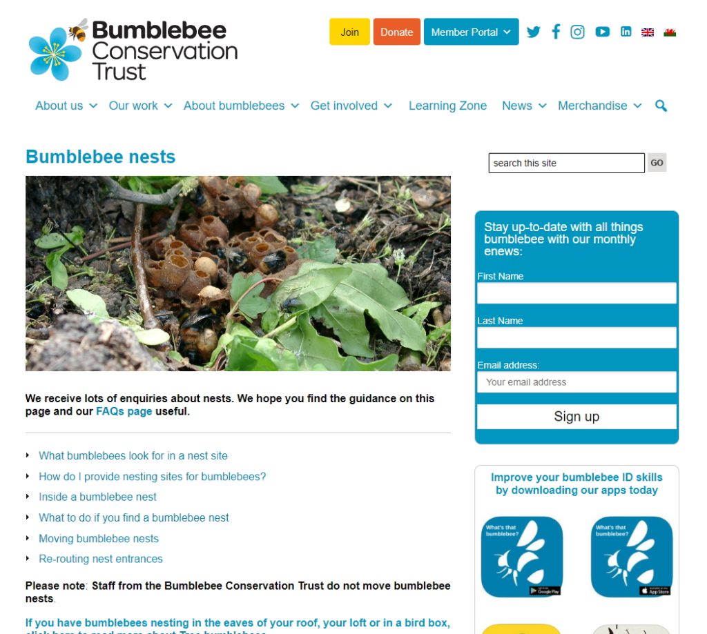 Bumblebee Nests