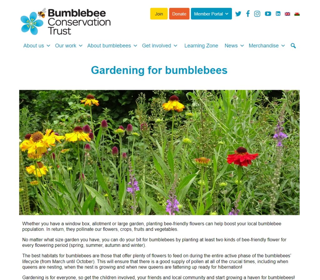 Gardening Advice for Bumblebees