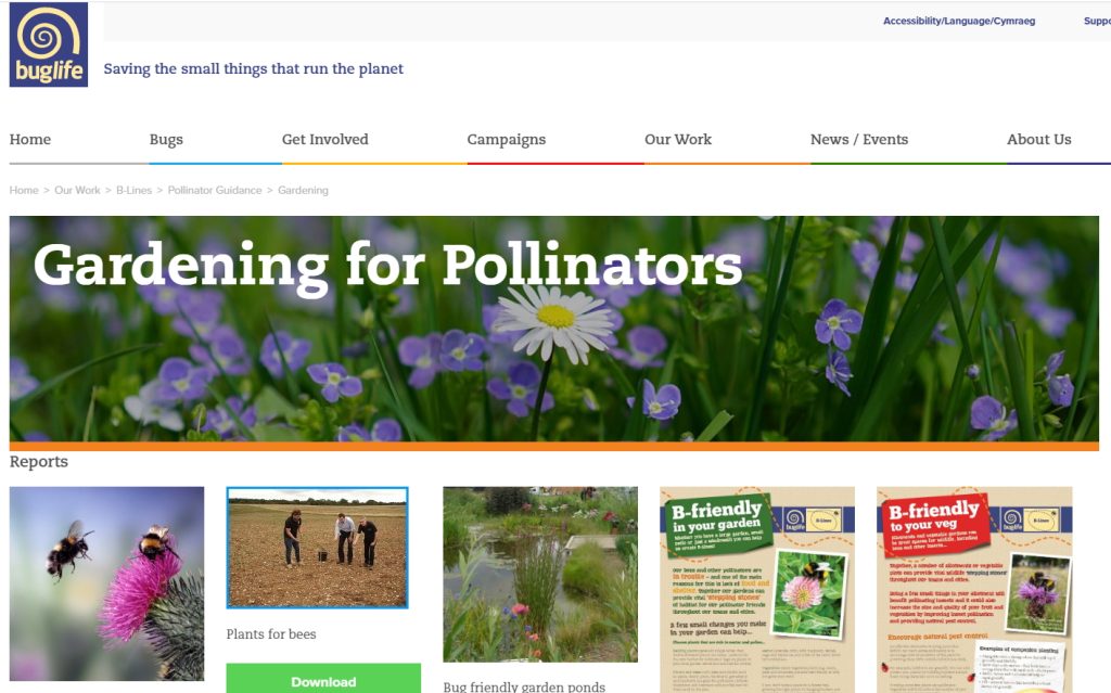 Helping Our Pollinators