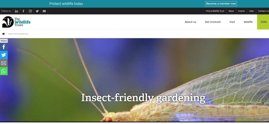 Why Are Garden Insects Important?