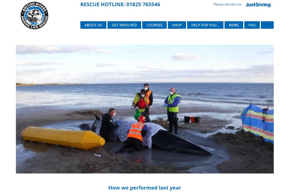 British Divers Marine Life Rescue