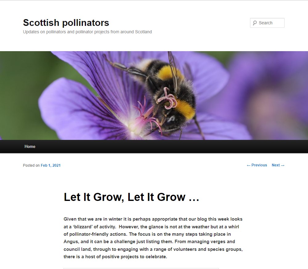 2021 Scottish Pollinator Blog