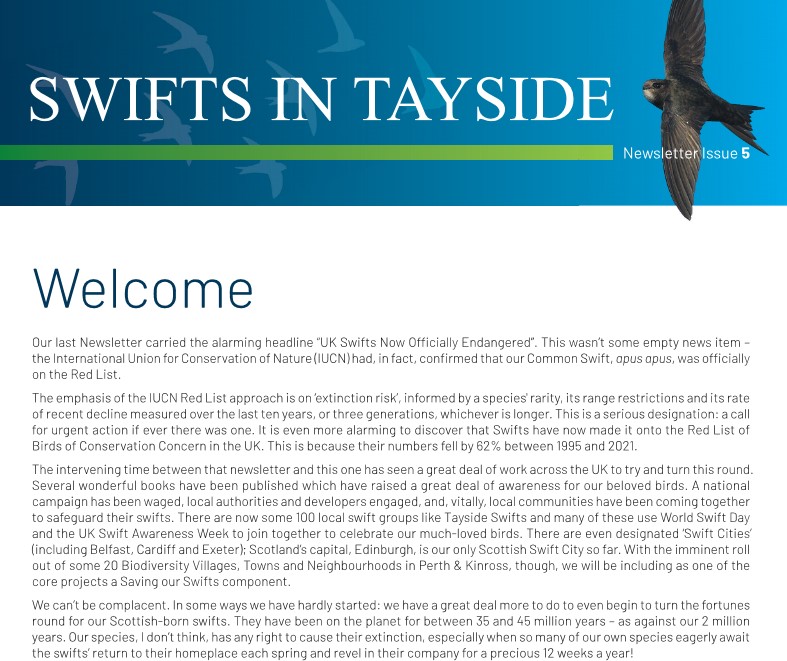 Swift Newsletter August 2023