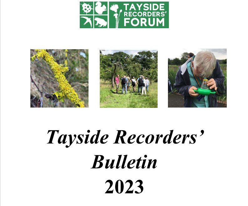 Tayside Recorders' Bulletin 2023