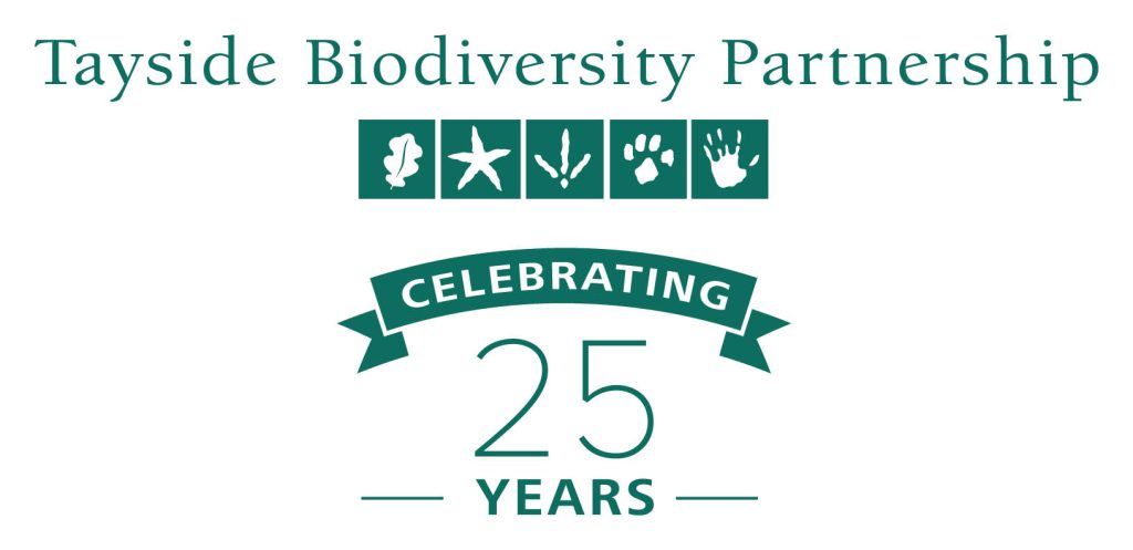 TAYSIDE BIODIVERSITY FESTIVAL 2024