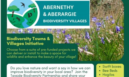 Abernethy