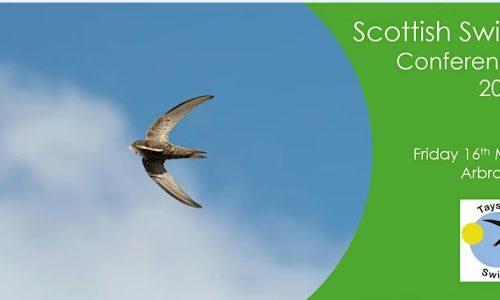 ScottishSwiftConference