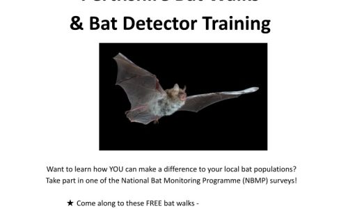 PerthshireBatWalk