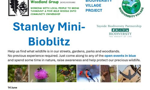 Stanley_Bioblitz_2025