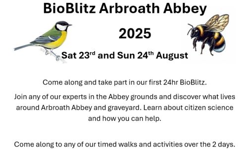 Arbroath_Bioblitz