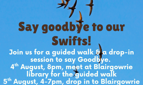 Blair events August