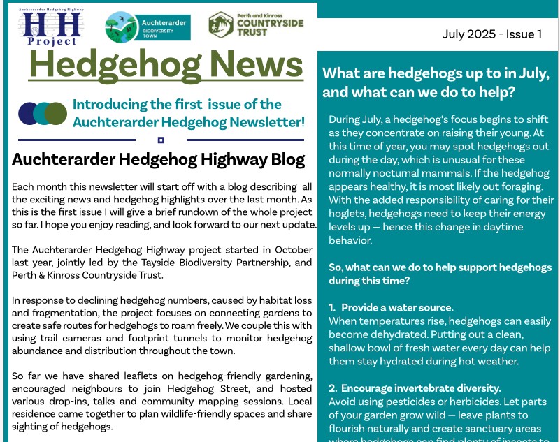 Hedgehog News Issue 1