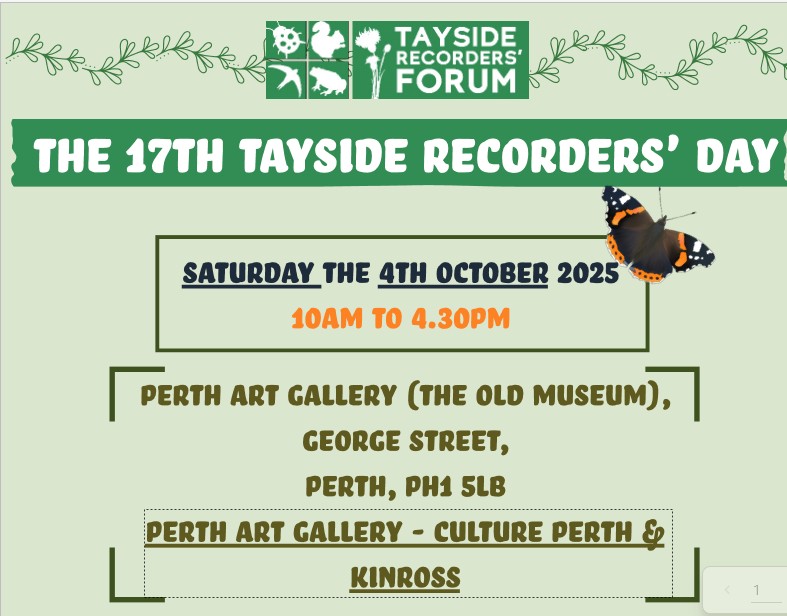 Tayside Recorders' Day 4th October