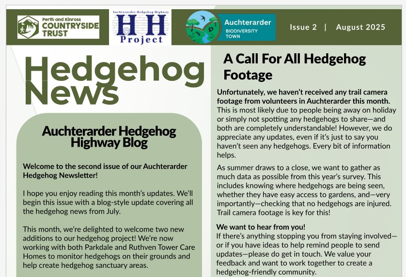 Hedgehog News Issue 2