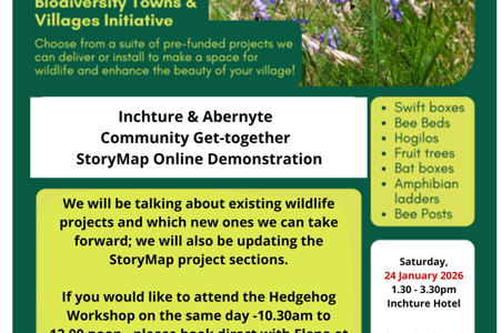 ABERNYTE & INCHTURE 3 ABERNYTE & INCHTURE 3