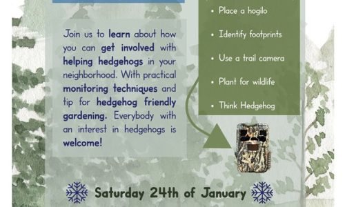 HedgehogWorkshop HedgehogWorkshop